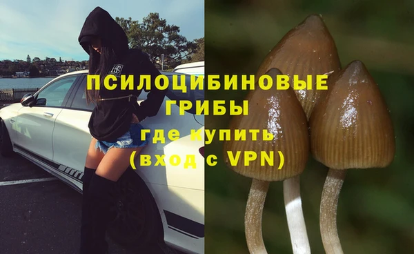 MDMA Заводоуковск