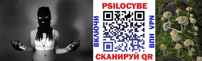 Псилоцибиновые грибы MAGIC MUSHROOMS  Купить  Невьянск 